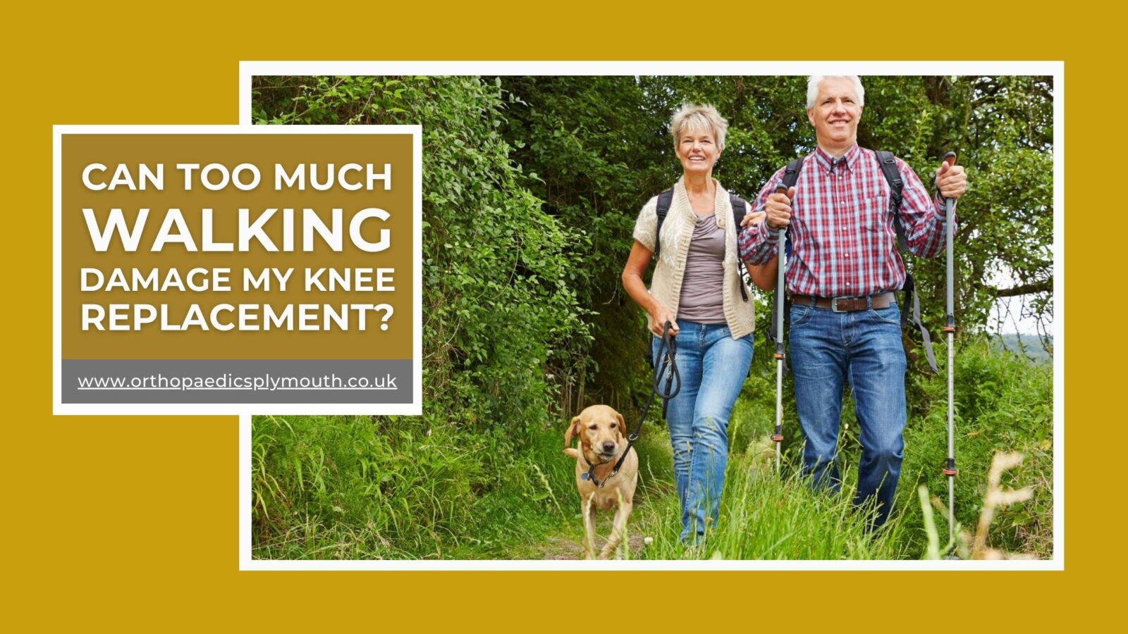 Can too much walking damage my knee replacement?