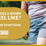 What Does a Worn Hip Feel Like? 8 Common Symptoms | Mr David Stitson | CONSULTANT ORTHOPAEDIC SURGEON | Plymouth What Does a Worn Hip Feel Like? 8 Common Symptoms | David Stitson, Consultant Orthopaedic Surgeon in Plymouth.
