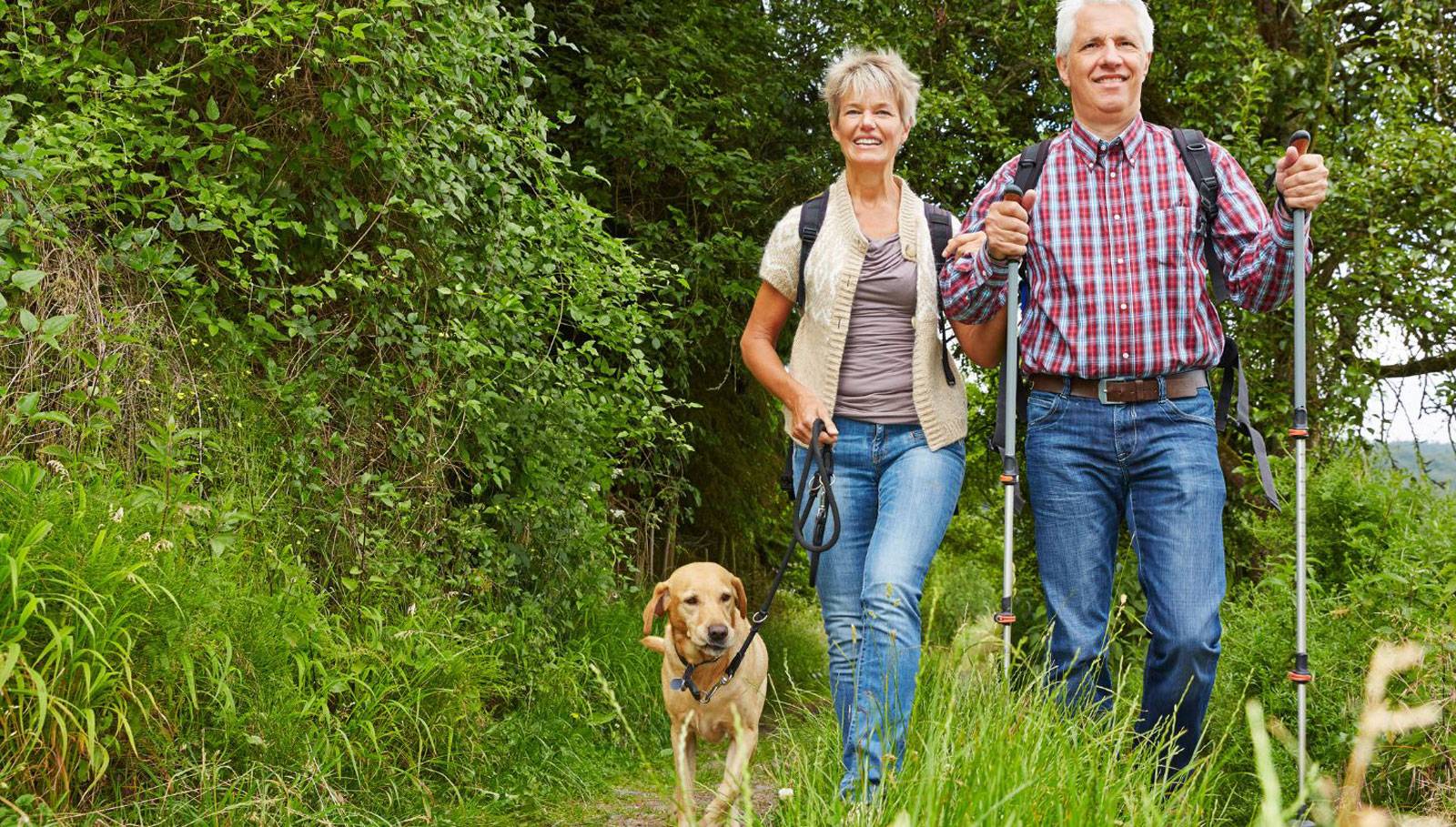 Private Hip & Knee Replacement Surgery in Plymouth